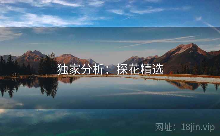 独家分析：探花精选