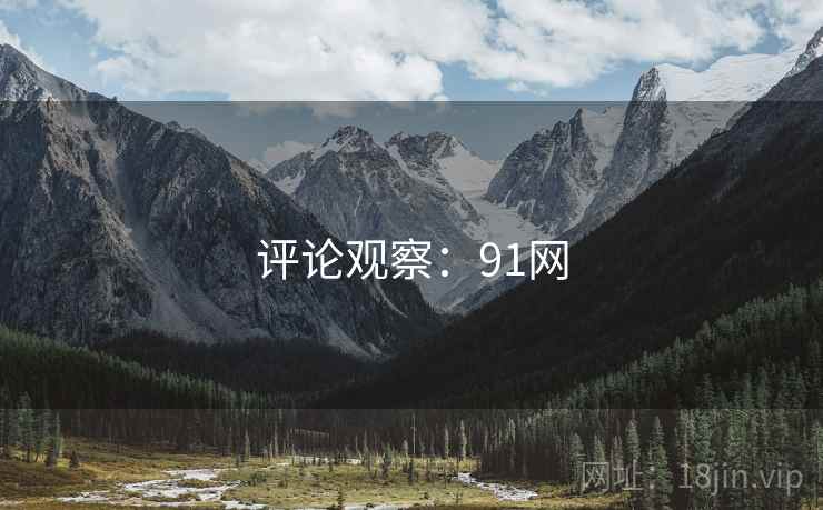 评论观察：91网