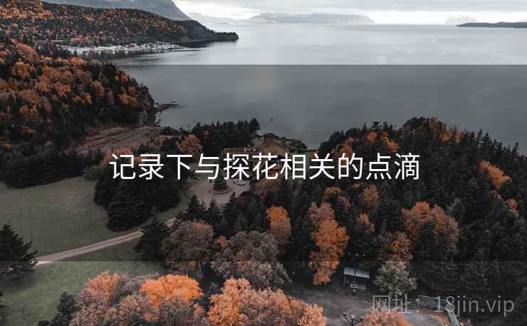 记录下与探花相关的点滴