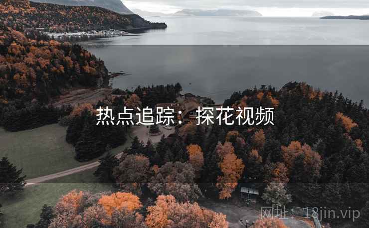 热点追踪：探花视频