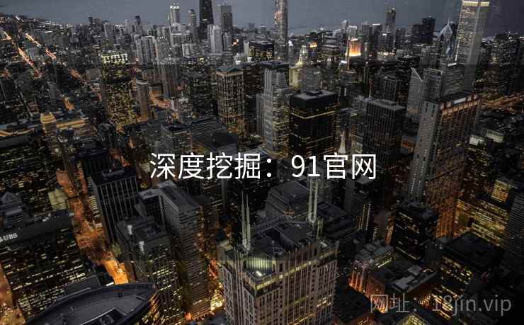 深度挖掘：91官网