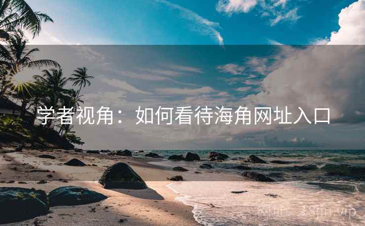 学者视角：如何看待海角网址入口